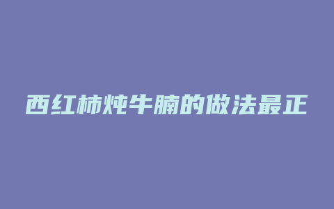 西红柿炖牛腩的做法最正宗的做法